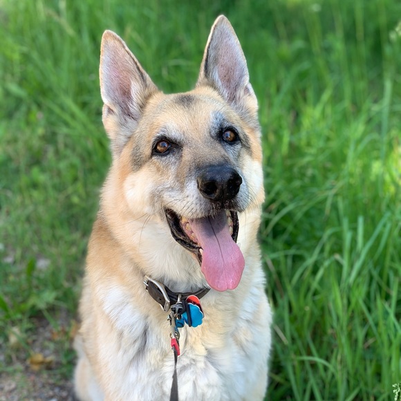 Hi! - Picture 2 of 4